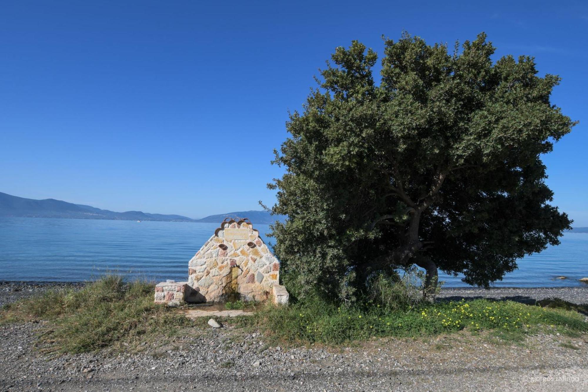 Nerotrivia Villa - Ocean Panorama And Lush Gardens Dış mekan fotoğraf